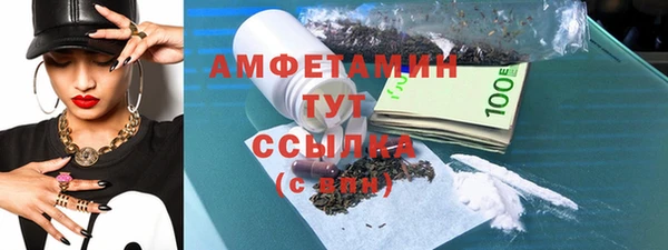 мдпв Бородино
