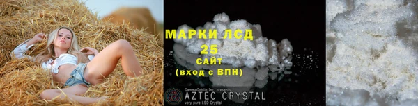мдпв Бородино