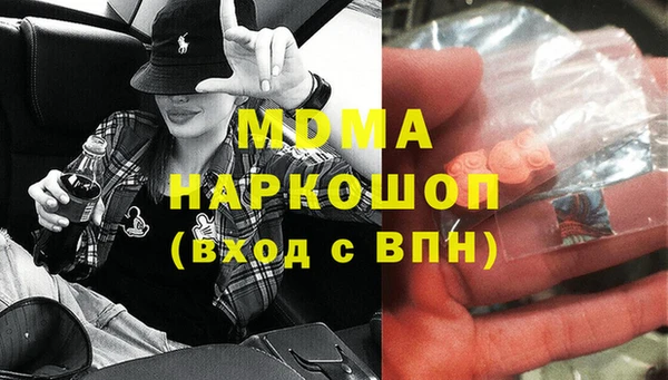 мдпв Бородино