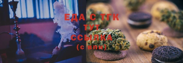 мдпв Бородино