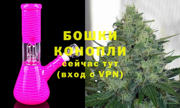 PSILOCYBIN Бронницы
