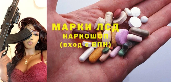 мдпв Бородино