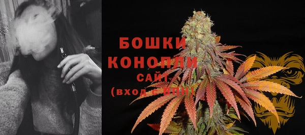 мдпв Бородино