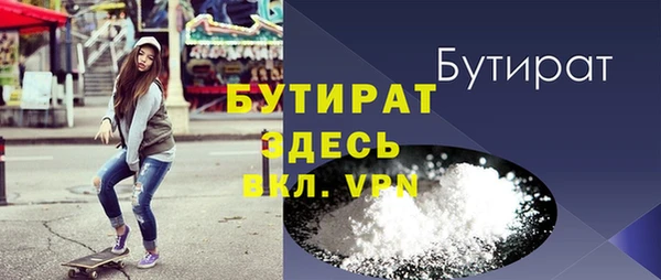 мдпв Бородино