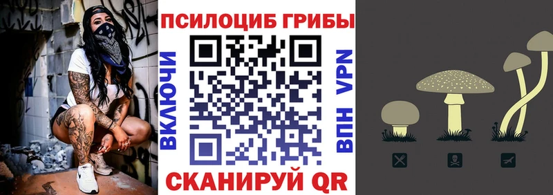 Псилоцибиновые грибы Magic Shrooms  площадка какой сайт  Нижний Тагил 
